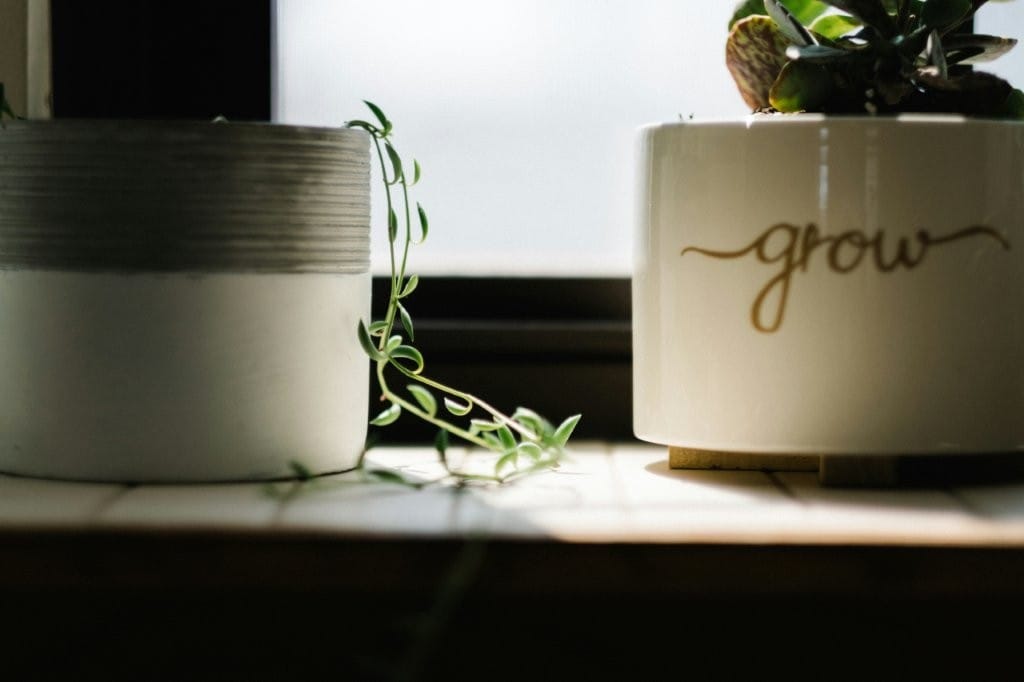 GRROW - een krachtig stappenplan voor coaching