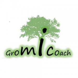 The Gromicoach BLOG 6 GromiCoach-hoogbegaafd