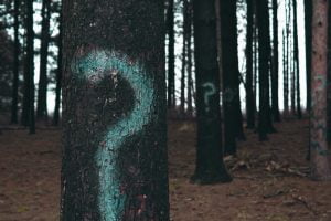 The Gromicoach BLOG 7 evan dennis 75563 unsplash-hoogbegaafd